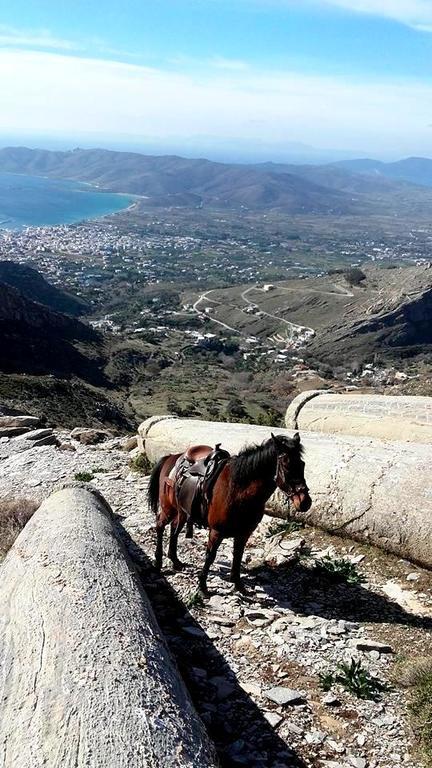 Makronas Apartments Karystos  Bagian luar foto
