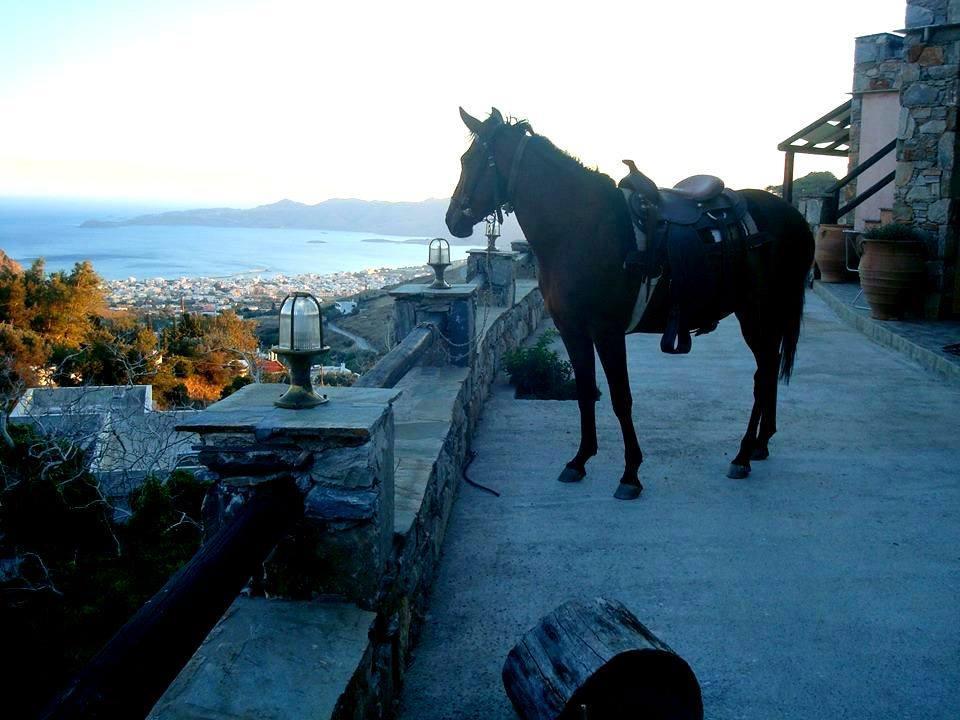Makronas Apartments Karystos  Bagian luar foto